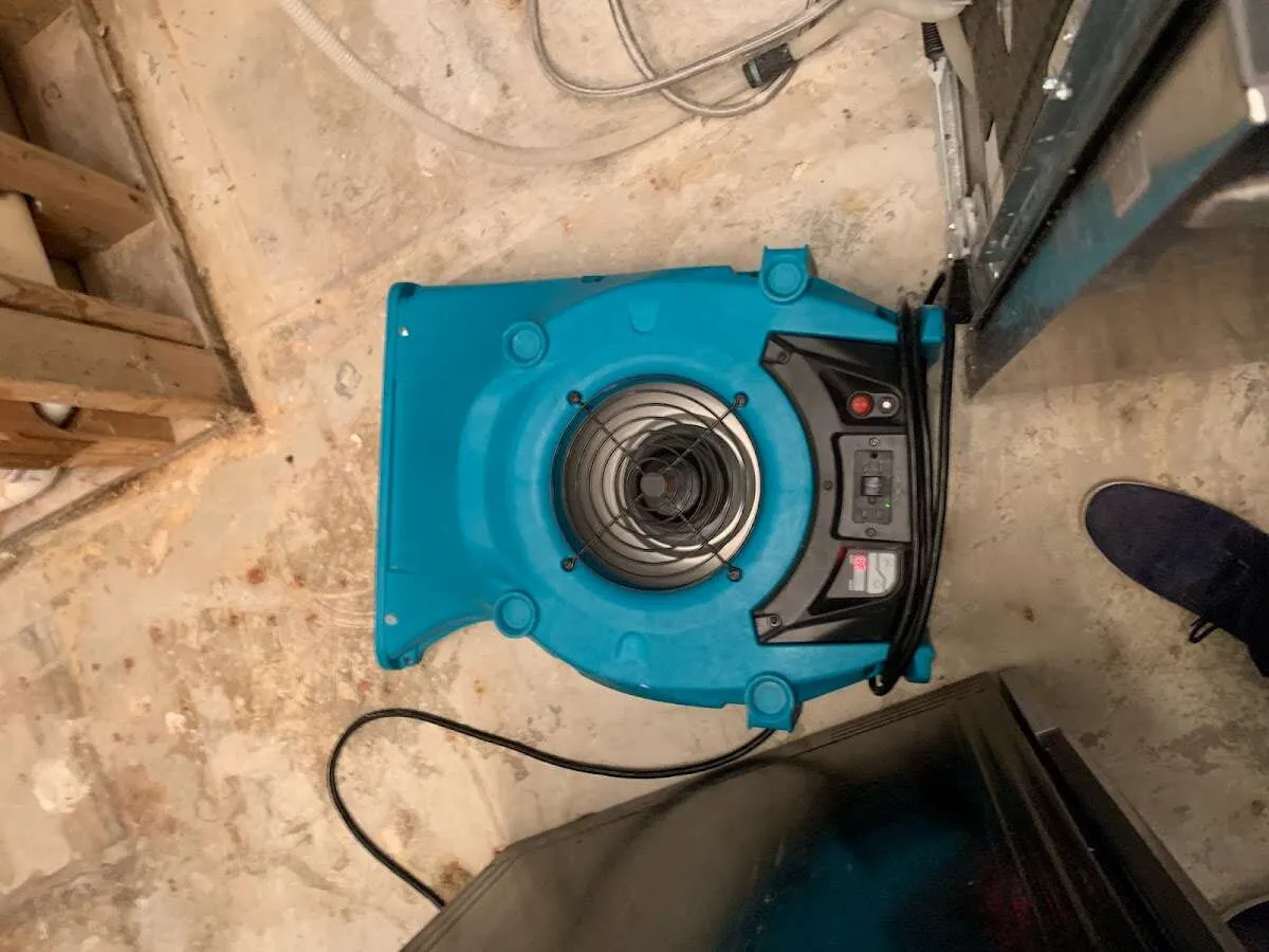 Air mover drying equipment for Mold Remediation & Removal in Lake Dallas